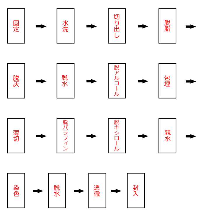 病理標本作製手順