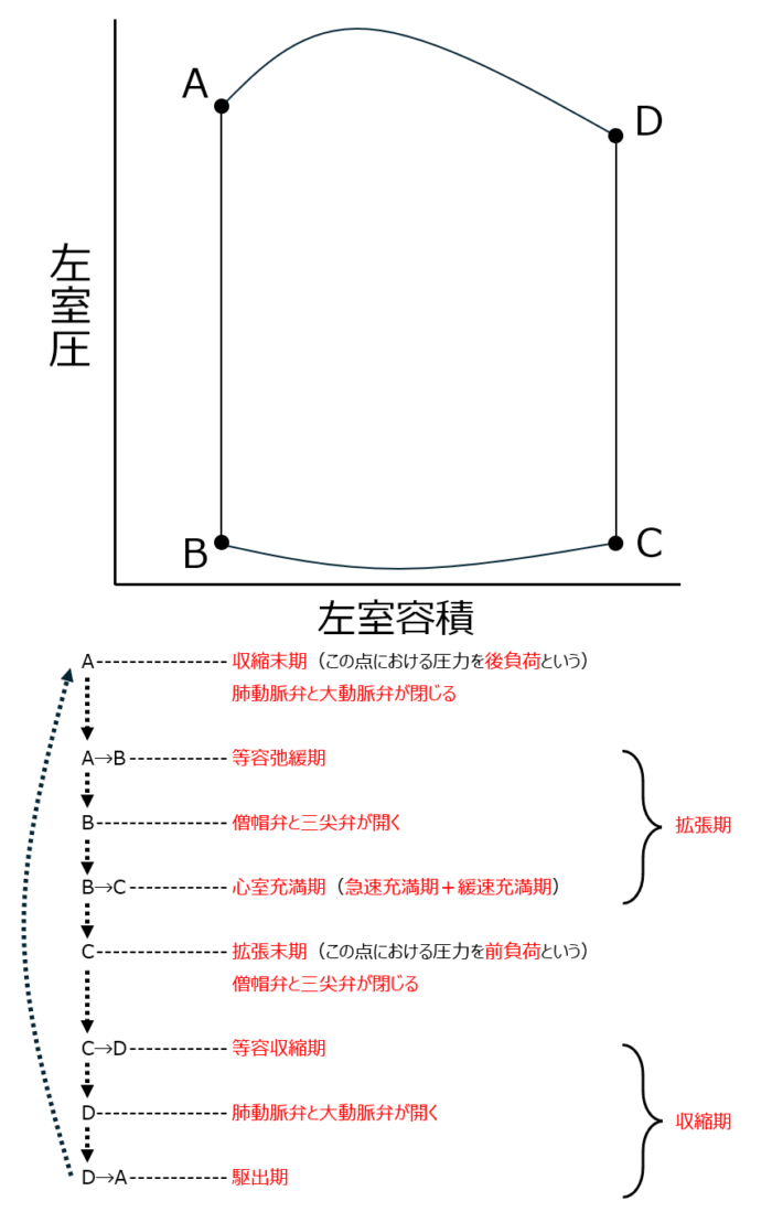 圧容積曲線