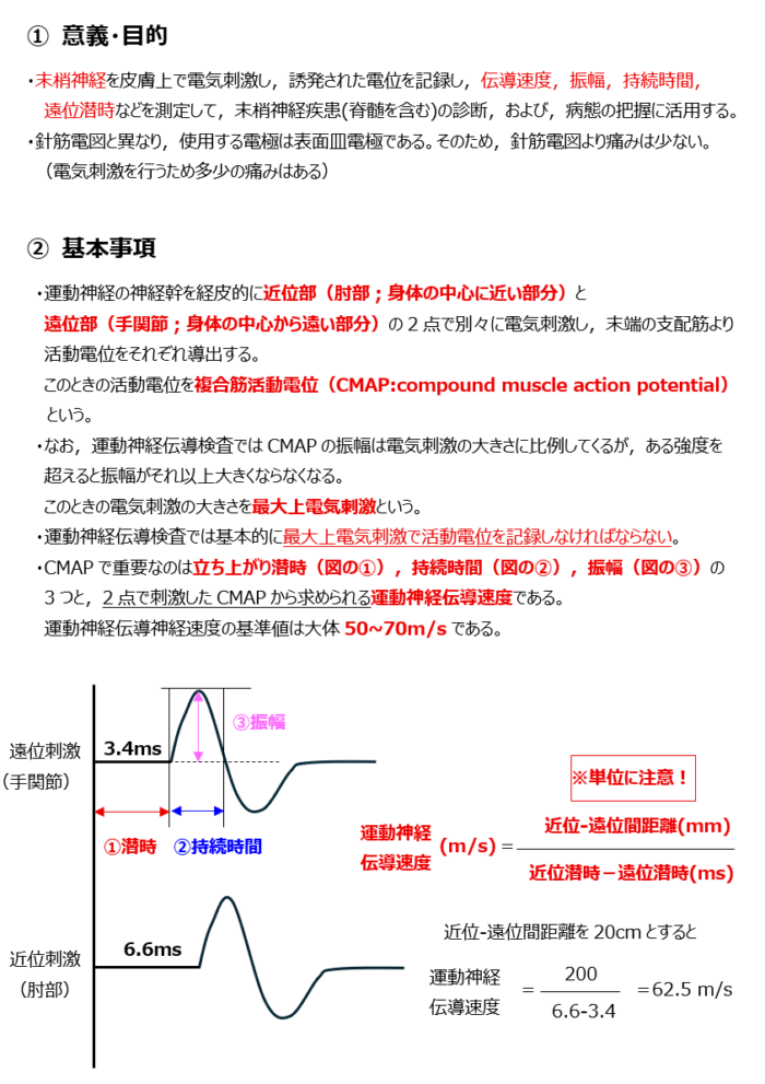 運動神経伝導検査1