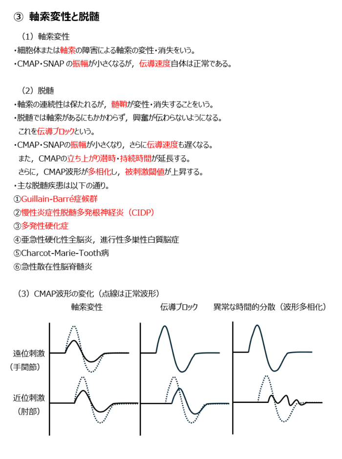 運動神経伝導検査2